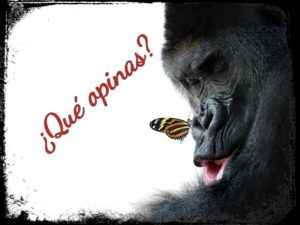 gorilamariposaopinas