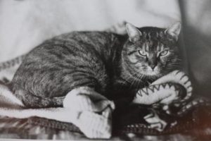 foto-3-lepanta-en-sofa