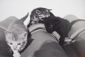 foto-4-cirilo-y-sus-hermanas