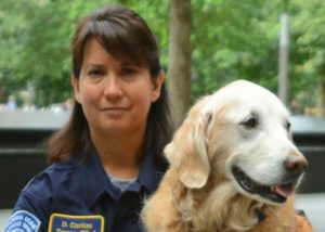 britagnie-rescue-dog-911-attacks-bretagne-horizontal-large-gallery