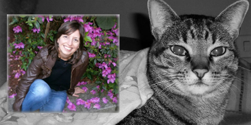 mis-gatos-sabrina-bequir-6