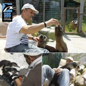 sos-rescate-fauna-marina-richard-tesore