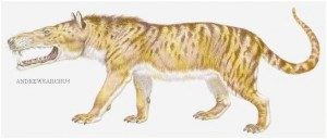 Mesonix evolución del Delfin