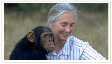 jane-goodall